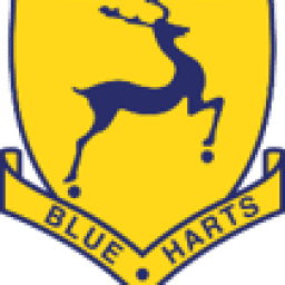 Logo Blueharts HC