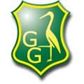 Logo Groen-Geel (H.C.C.)