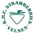 Logo Strawberries (K.H.C.)